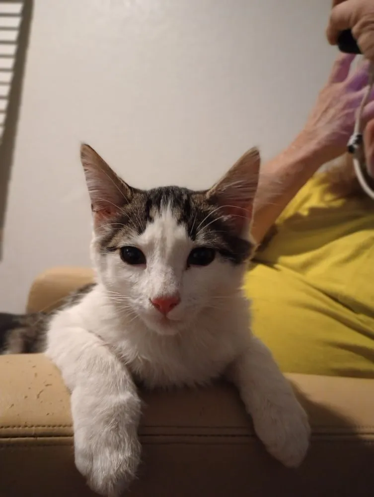 Expert garden landscaping in Carson City, NV by Bay Labor Plus