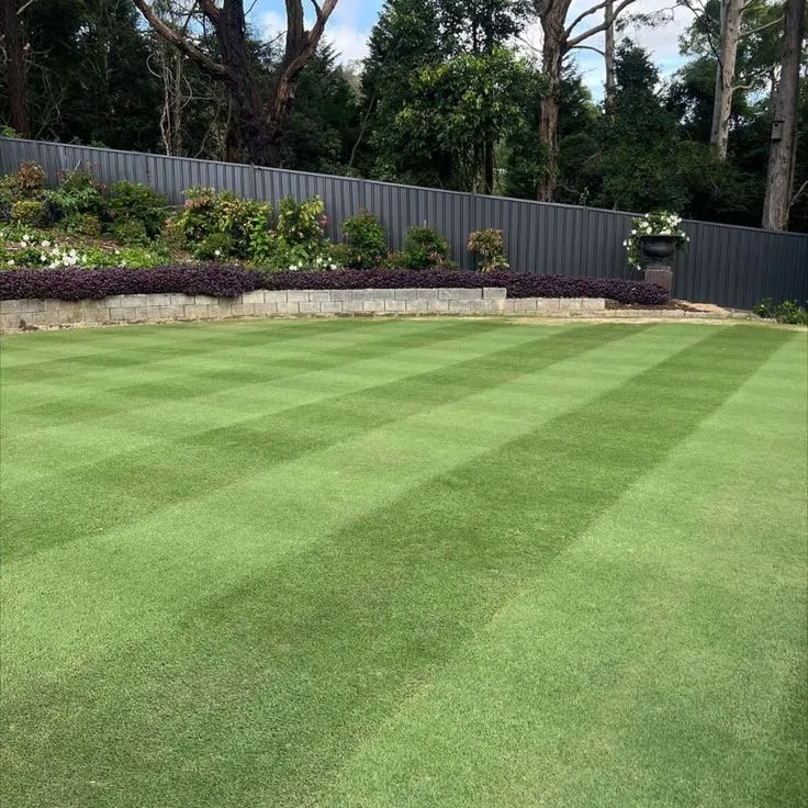 Trusted yard cleanup service for residential properties across Oakland, CA - Bay Landscape