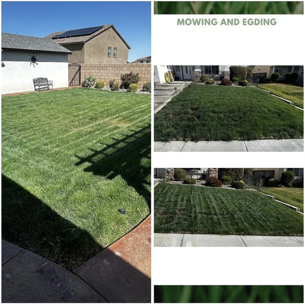 Reliable landscape installation in Oakland, CA by Bay Landscape