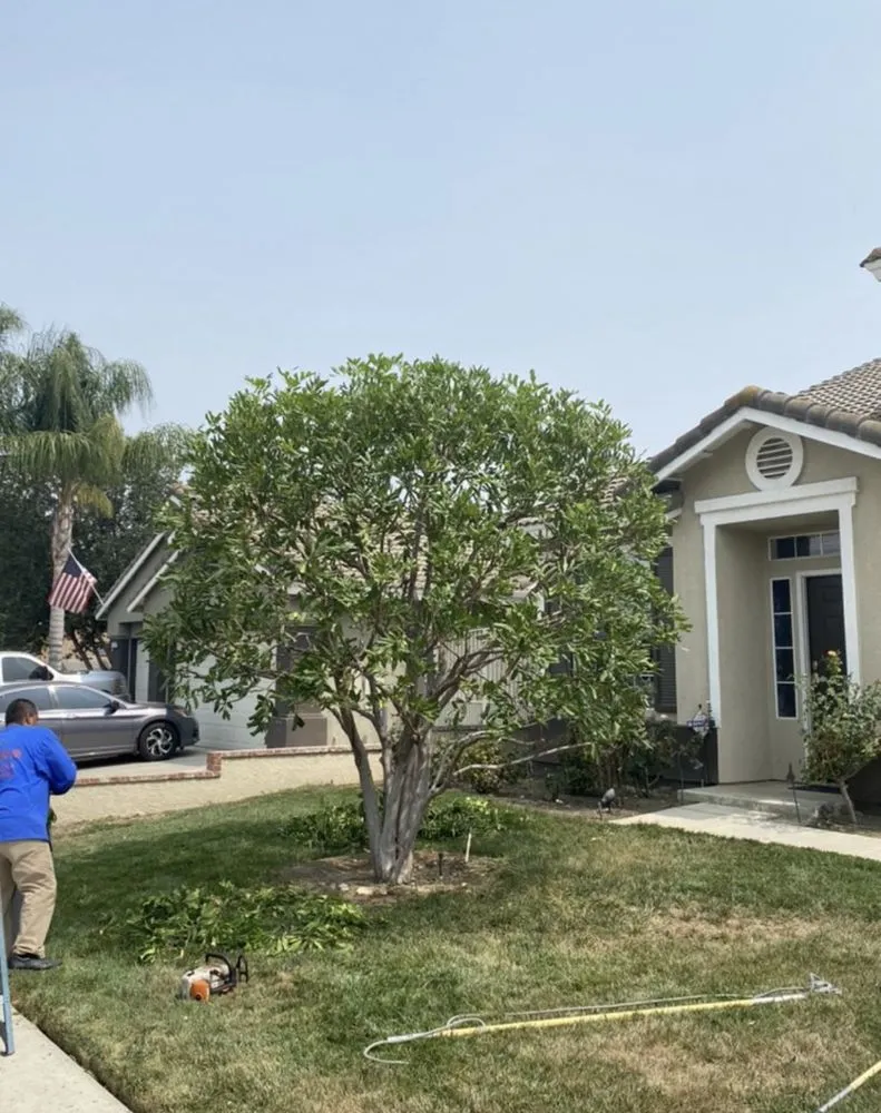 Expert garden landscaping for homes across Oakland, CA - Bay Landscape