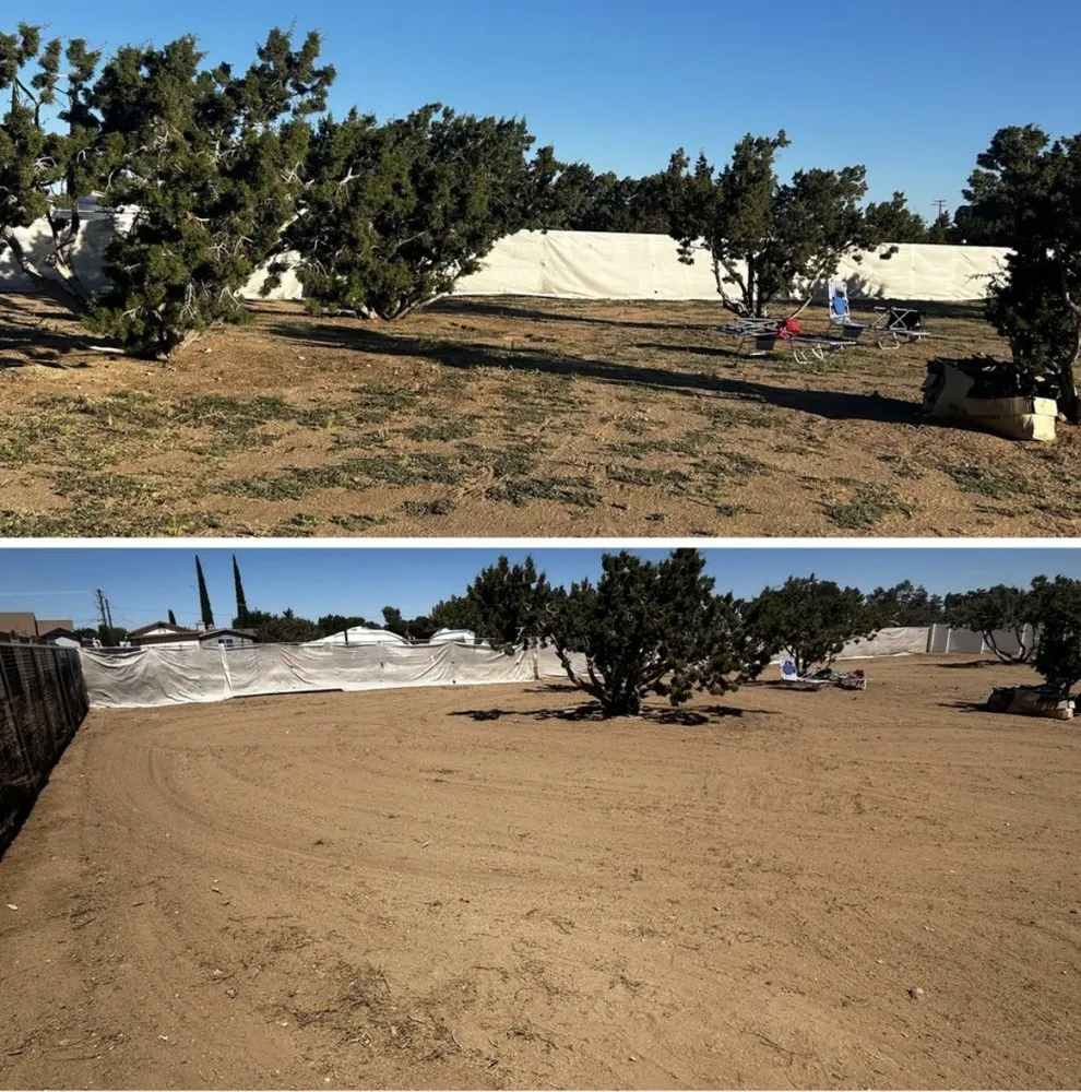 Custom yard maintenance in Oakland, CA - Bay Landscape