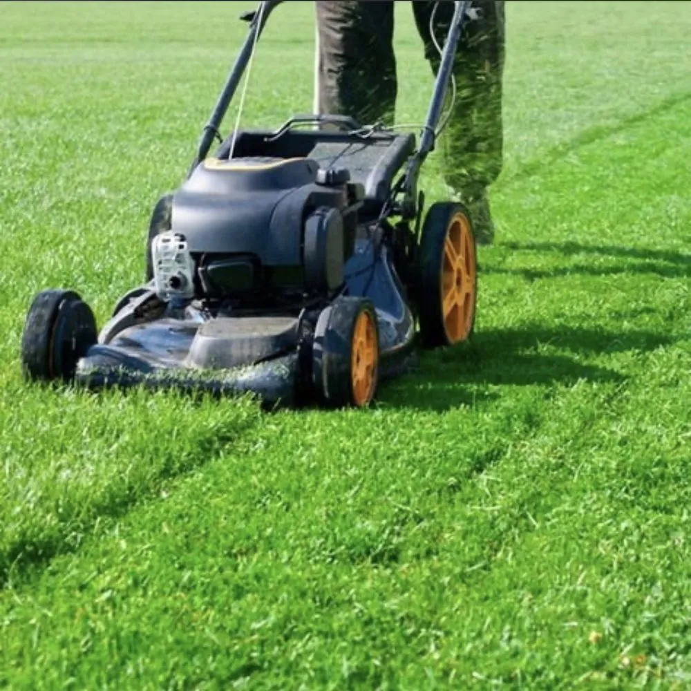 Reliable lawn mowing service for outdoor upgrades in Oakland, CA by Bay Landscape