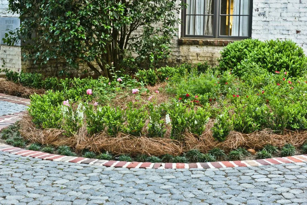 Custom yard maintenance in Mobile, AL - Bay Landscaping