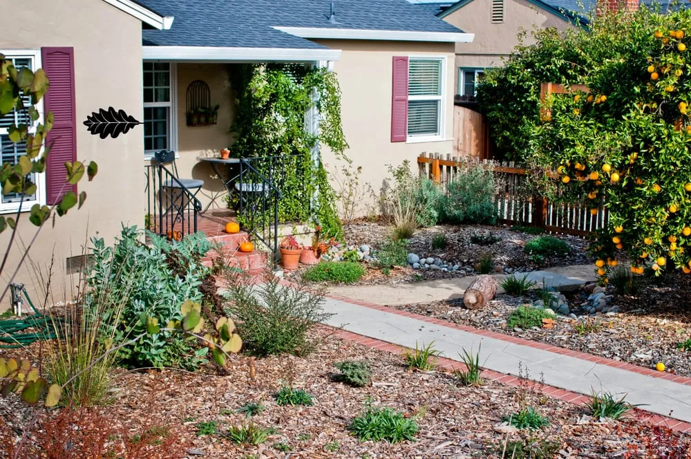 Top-rated residential landscaping experts serving San Jose, CA - Bay Maples Wild California Gardens