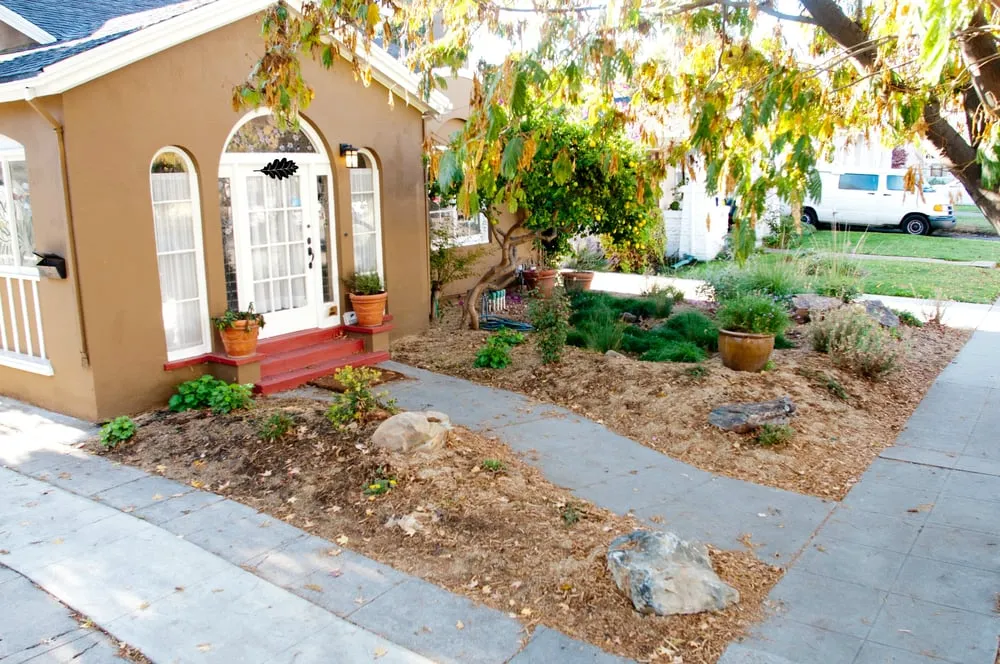 Custom garden landscaping with custom design in San Jose, CA by Bay Maples Wild California Gardens