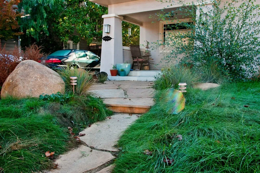 Professional outdoor landscaping in San Jose, CA by Bay Maples Wild California Gardens