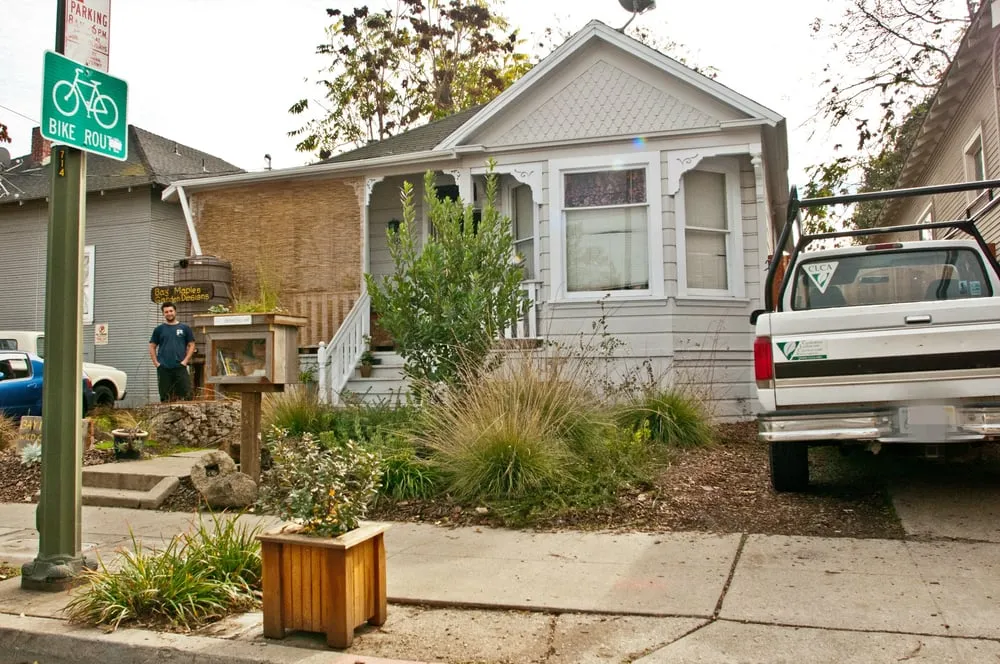 Affordable garden landscaping in San Jose, CA - Bay Maples Wild California Gardens