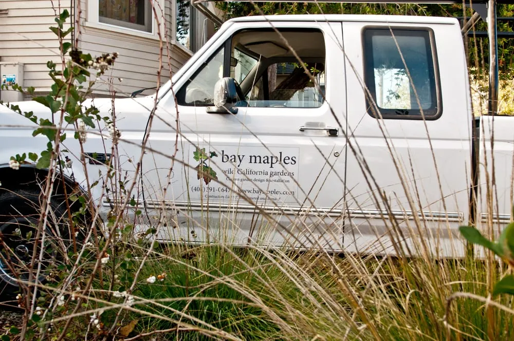 Professional lawn care service for homes in San Jose, CA by Bay Maples Wild California Gardens