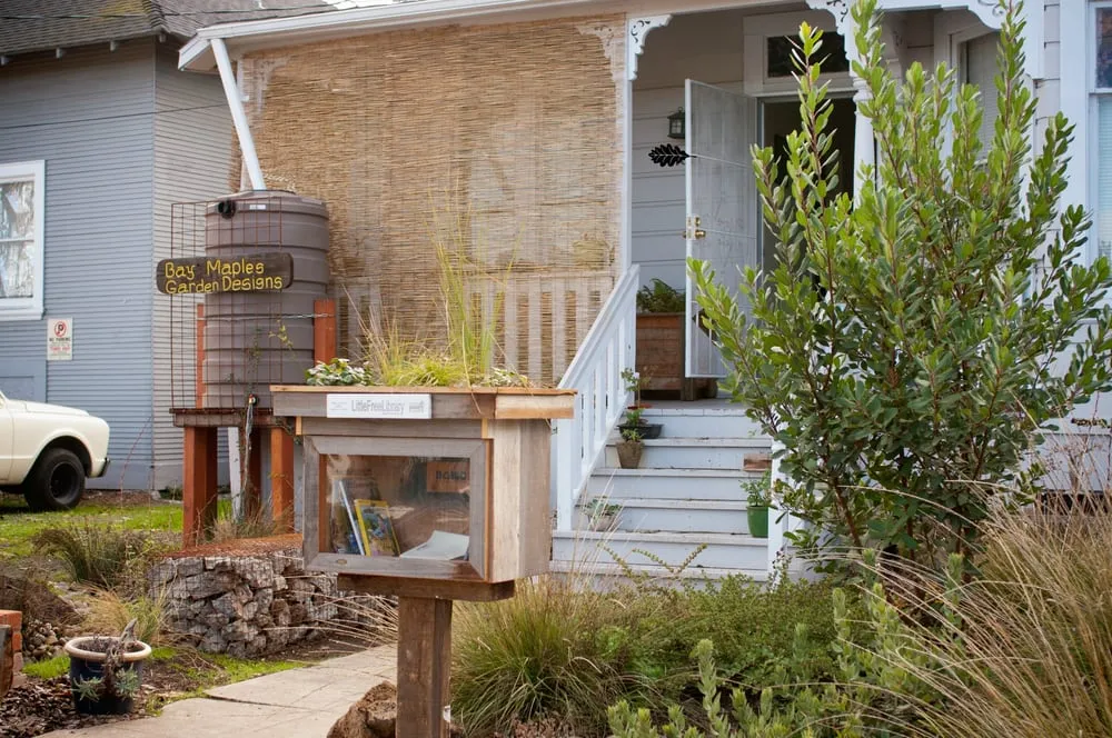 Trusted outdoor landscaping experts serving San Jose, CA - Bay Maples Wild California Gardens