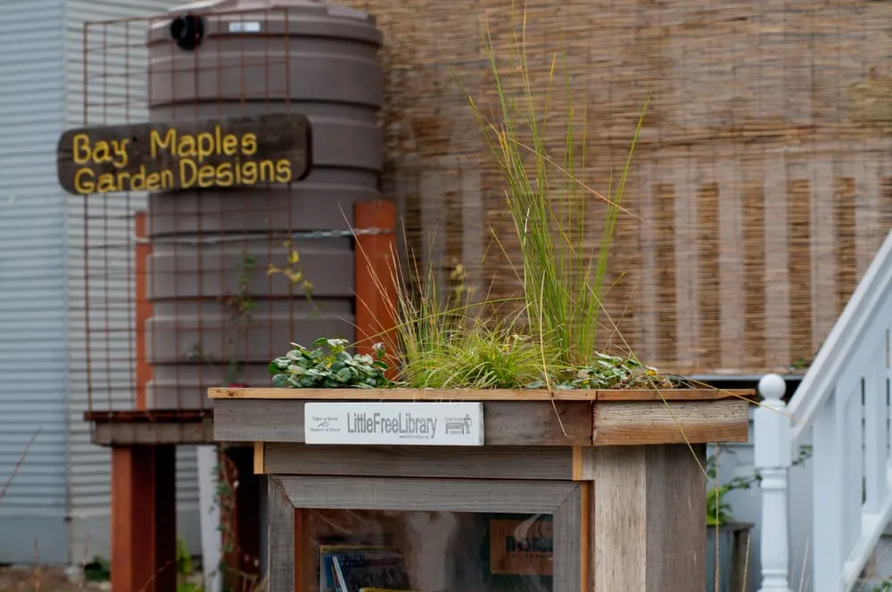 Local lawn mowing service near you in San Jose, CA by Bay Maples Wild California Gardens