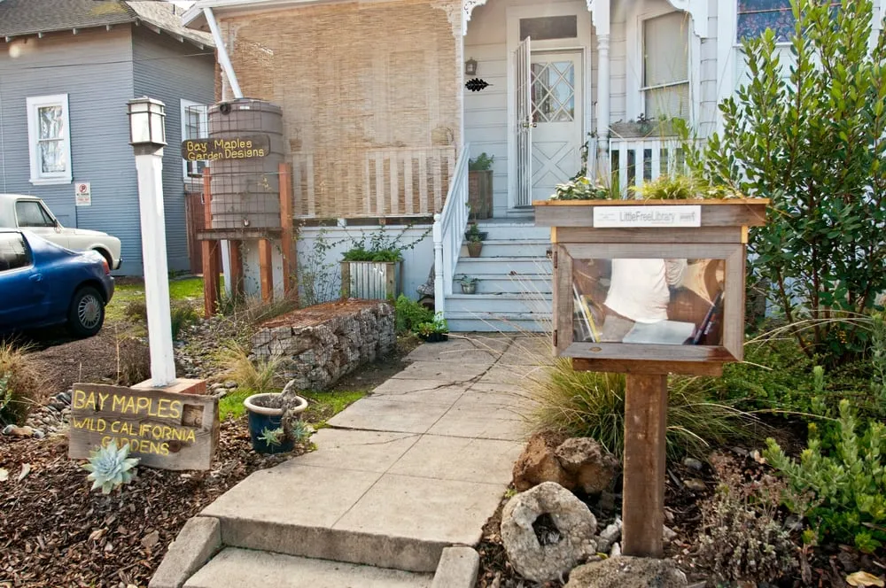 Expert yard cleanup service for year-round maintenance across San Jose, CA - Bay Maples Wild California Gardens