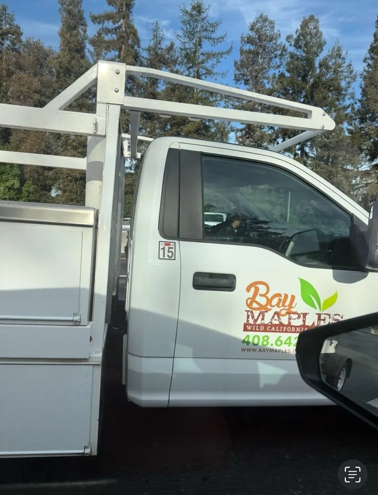 Affordable lawn mowing service in San Jose, CA by Bay Maples Wild California Gardens