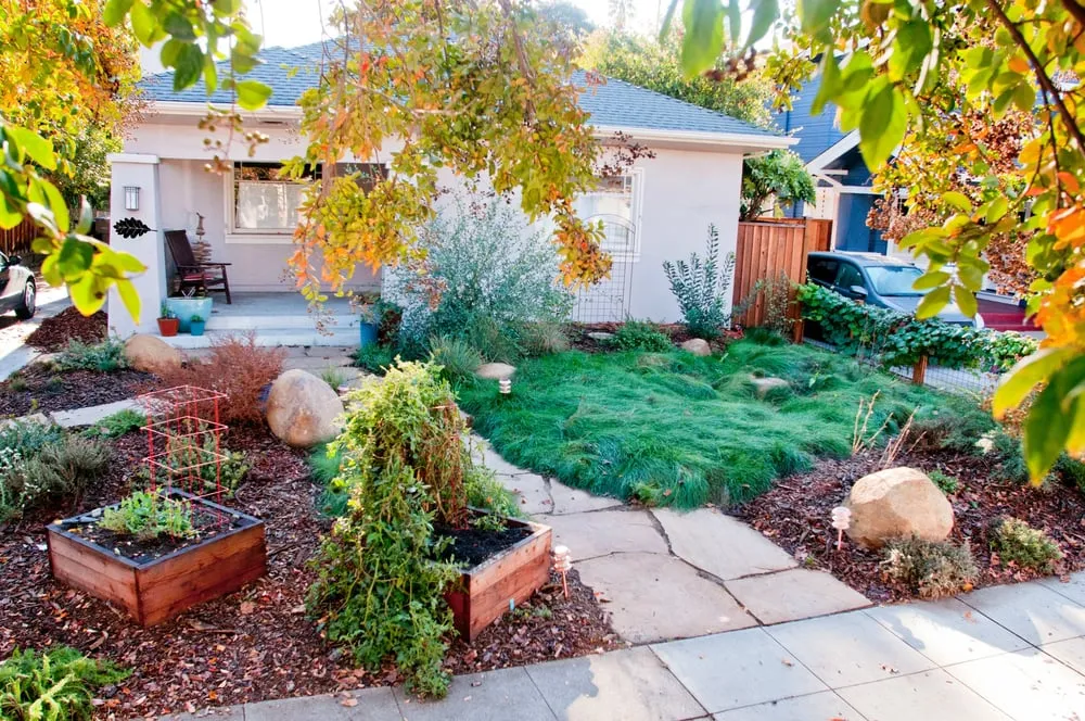 Expert landscaping services with custom design across San Jose, CA - Bay Maples Wild California Gardens