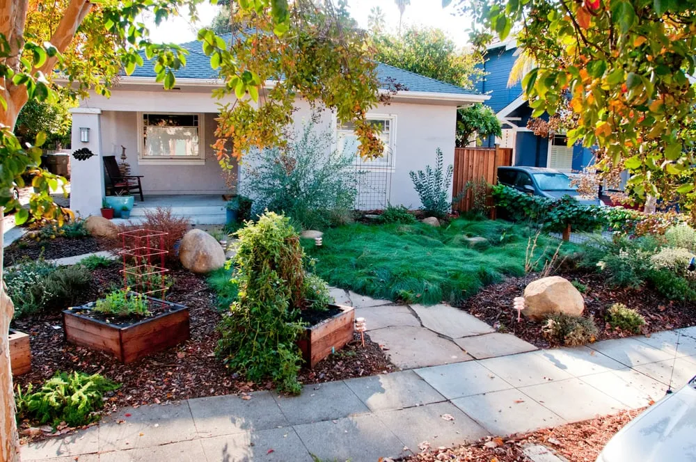 Expert yard cleanup service for year-round maintenance in San Jose, CA by Bay Maples Wild California Gardens