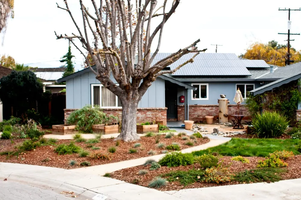 Professional lawn mowing service with custom design across San Jose, CA - Bay Maples Wild California Gardens