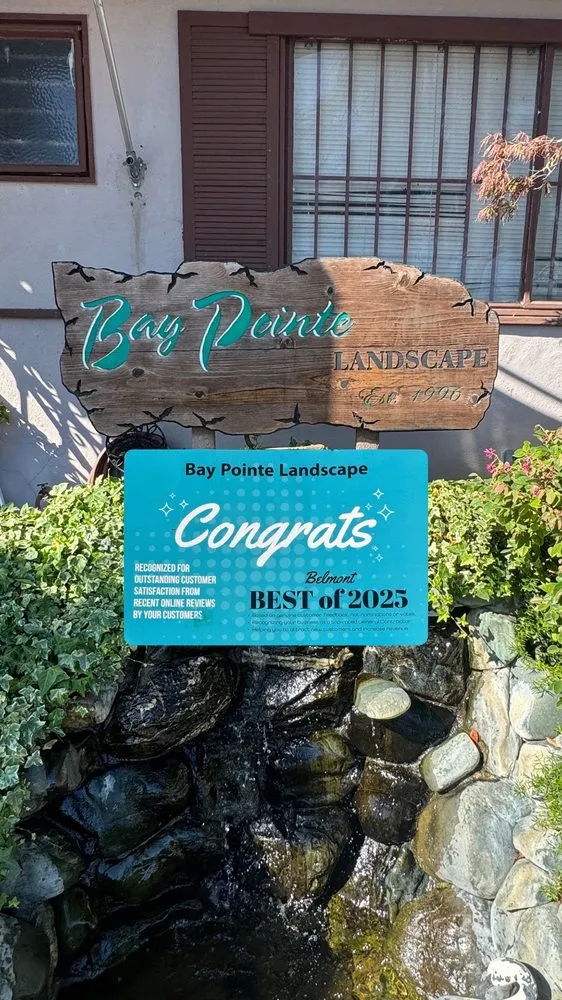 Professional lawn mowing service in Belmont, CA - Bay Pointe Landscape