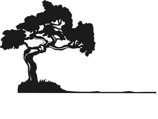 Local lawn mowing service in Belmont, CA by Bay Pointe Landscape