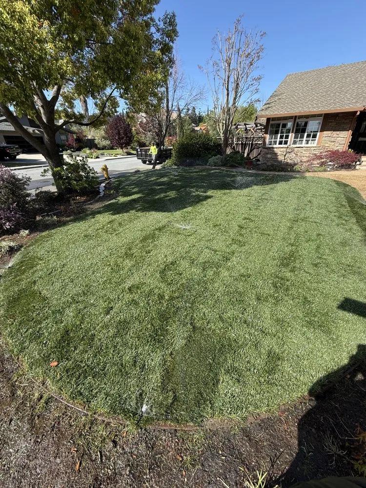 Professional garden landscaping in San Jose, CA by Bay Pro Landscaping