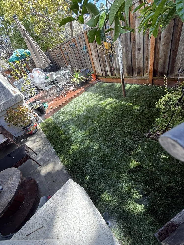 Expert outdoor landscaping in San Jose, CA - Bay Pro Landscaping