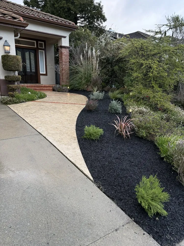 Expert yard cleanup service for outdoor upgrades across San Jose, CA - Bay Pro Landscaping