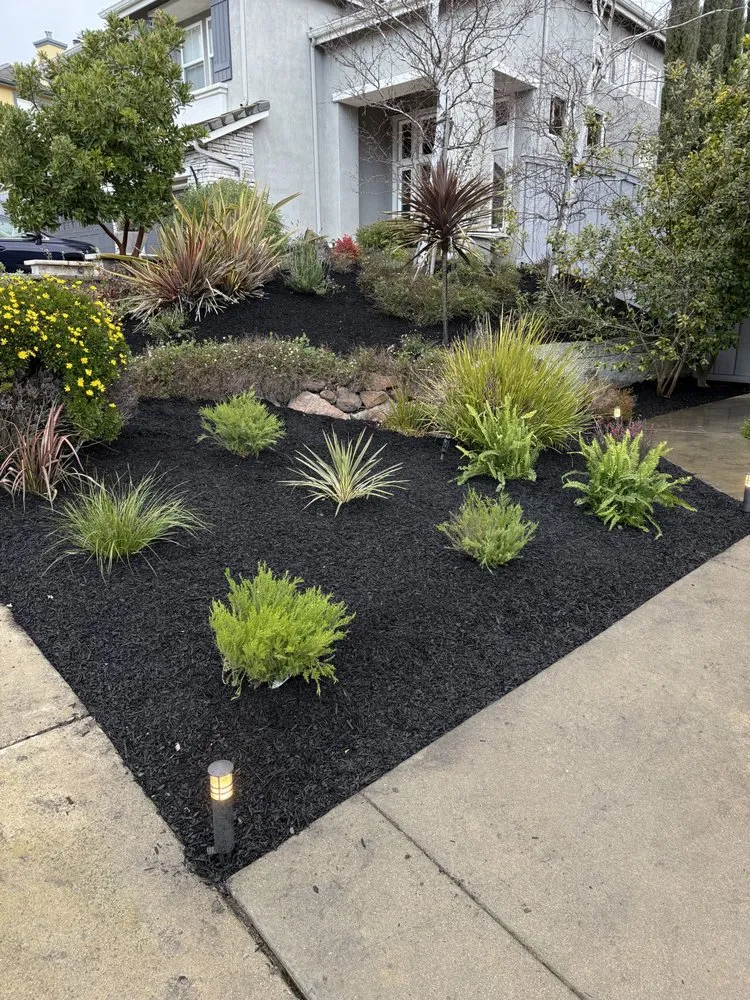 Expert lawn mowing service for beautiful yards in San Jose, CA by Bay Pro Landscaping