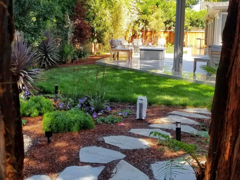 Affordable landscape design in Mountain View, CA - Bay Scenery