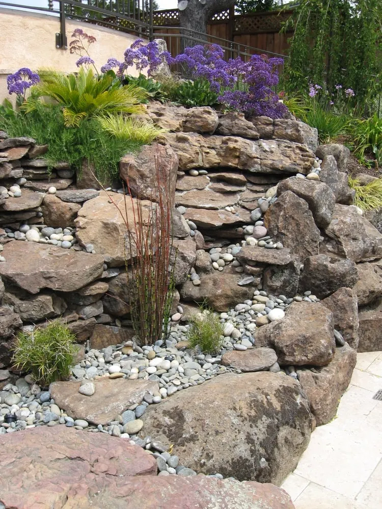 Local garden landscaping for year-round maintenance in Mountain View, CA by Bay Scenery