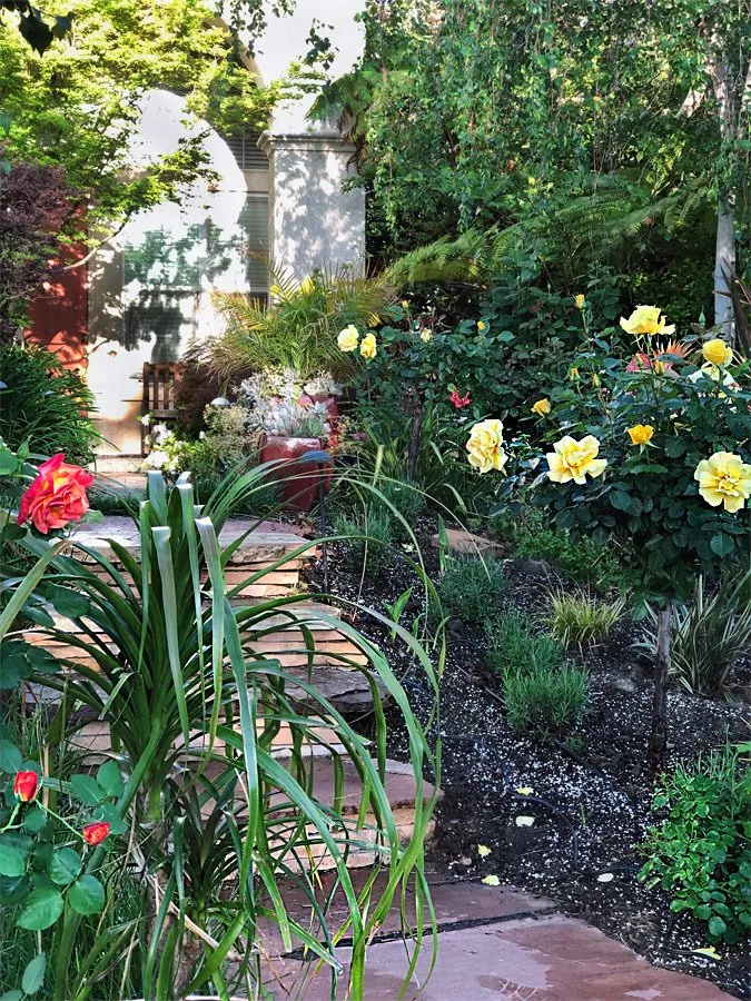 Custom lawn care service in Mountain View, CA - Bay Scenery