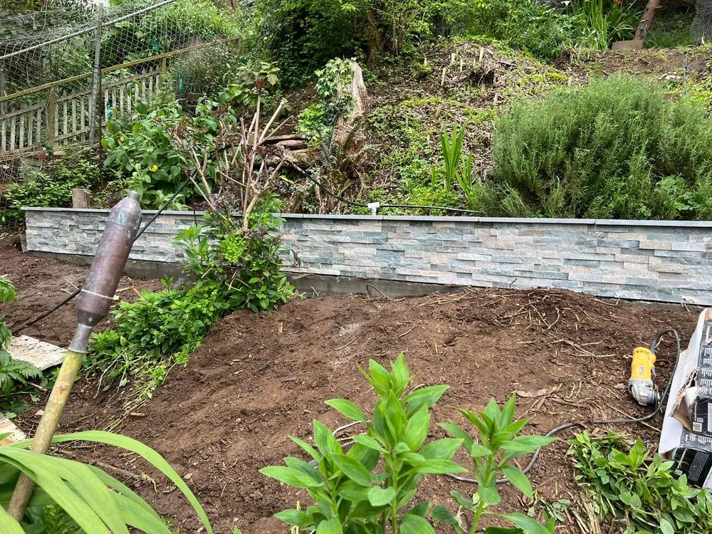 Affordable lawn mowing service in Palo Alto, CA - Bay Solutions Landscaping