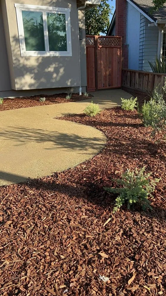 Trusted residential landscaping for beautiful yards across Palo Alto, CA - Bay Solutions Landscaping