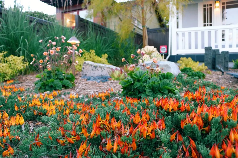 Custom yard cleanup service experts serving Richmond, CA - Bay Stone Landscaping