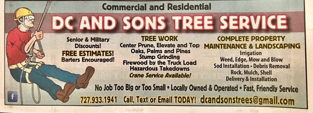 Expert residential landscaping near you across Tarpon Springs, FL - Bay to Bay Tree Service and Land Clearing