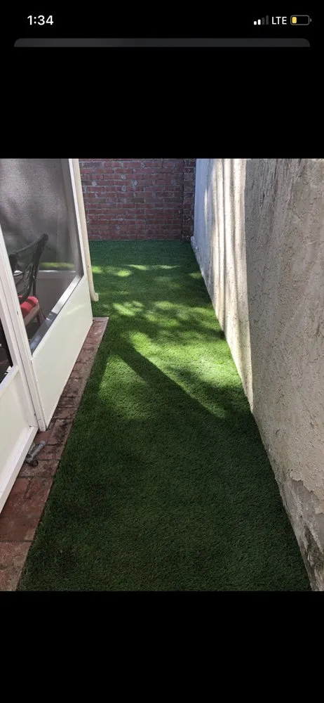 Local outdoor landscaping experts serving Lutz, FL - Bay to Bay Turf