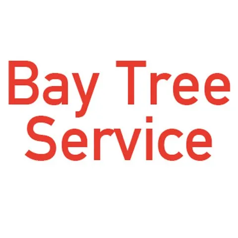 Trusted yard cleanup service in Shawano, WI by Bay Tree Service