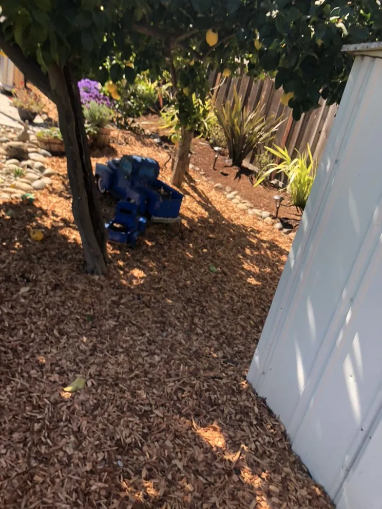 Local yard cleanup service for outdoor upgrades across Santa Clara, CA - Bay Valley Gardening & Landscape Service