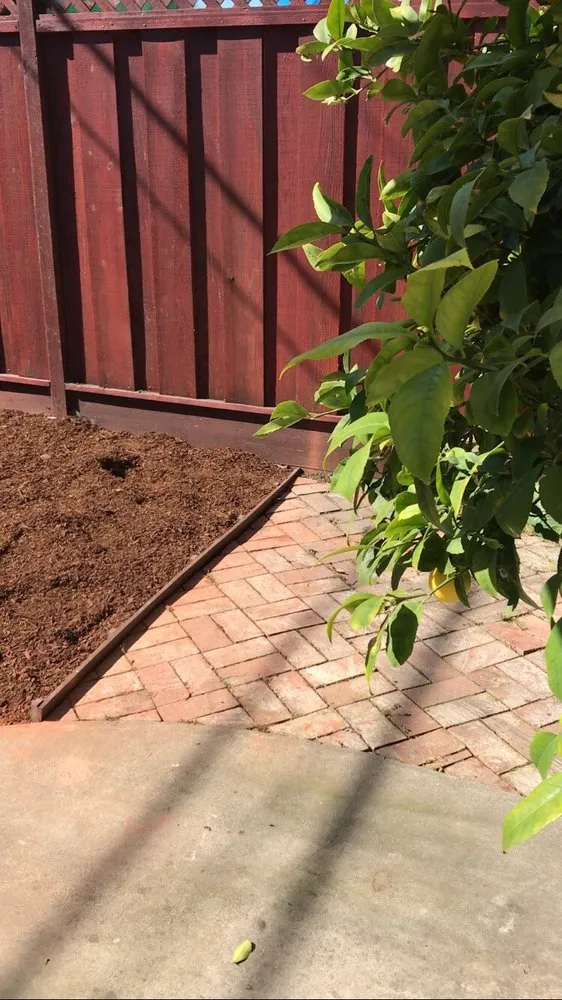 Expert outdoor landscaping for residential properties in Santa Clara, CA by Bay Valley Gardening & Landscape Service