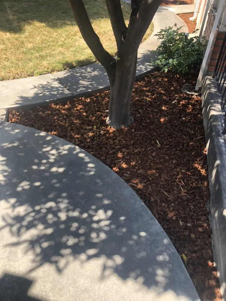 Expert landscape design in Santa Clara, CA by Bay Valley Gardening & Landscape Service