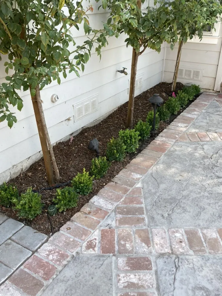 Expert landscape installation for residential properties across Santa Clara, CA - Bay Valley Gardening & Landscape Service
