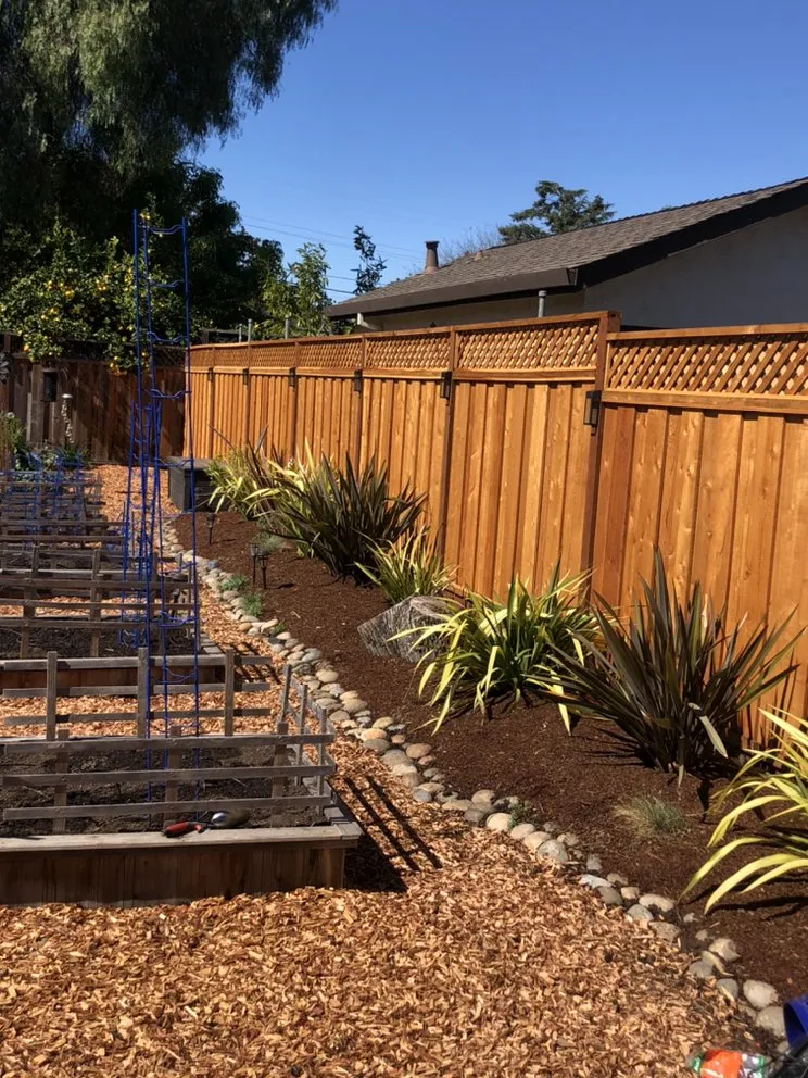 Affordable lawn care service in Santa Clara, CA - Bay Valley Gardening & Landscape Service
