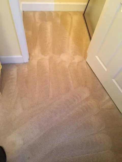 Custom residential landscaping in Eastpoint, FL by Bay View Carpet Cleaning & Property Maintenance