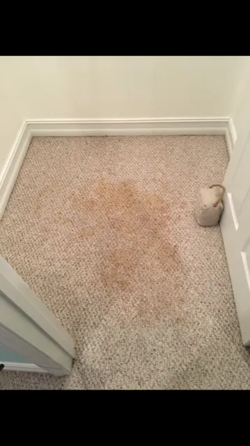 Top-rated outdoor landscaping experts serving Eastpoint, FL - Bay View Carpet Cleaning & Property Maintenance