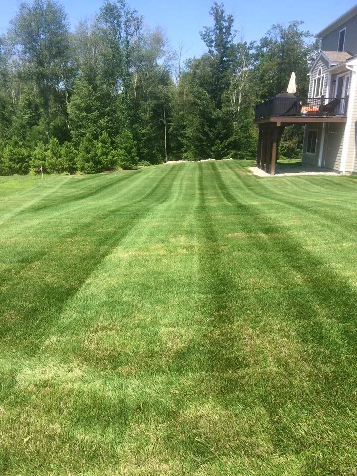 Affordable yard maintenance in Cohasset, MA by Bay View Landscaping