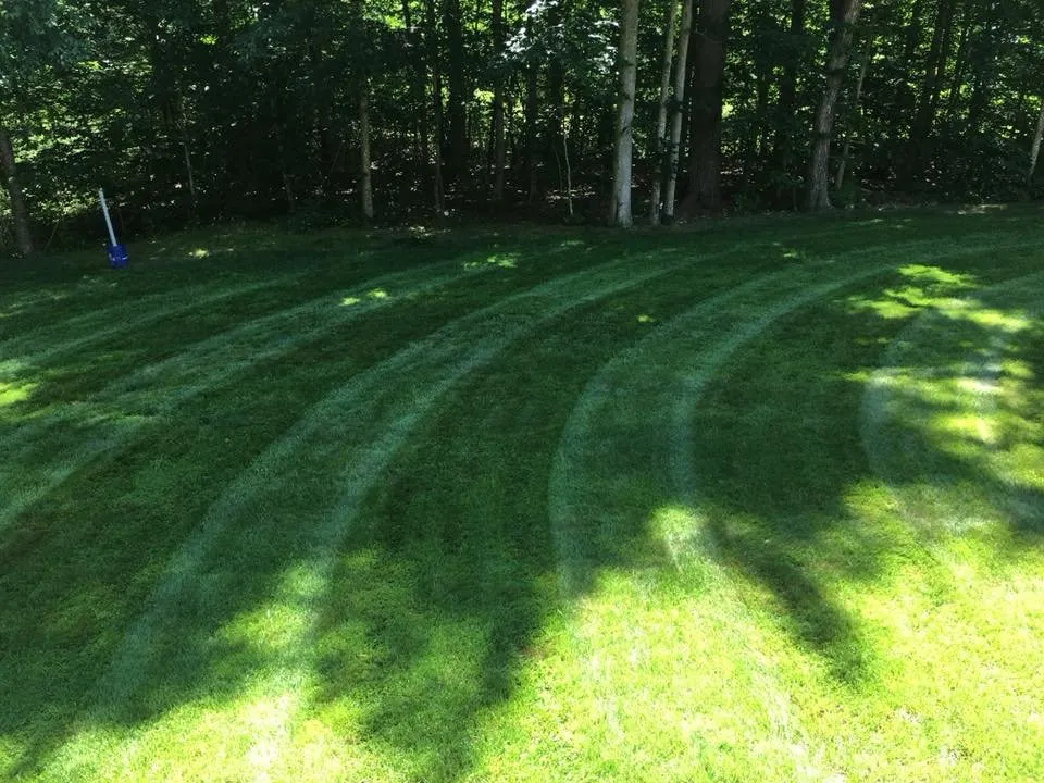 Expert yard cleanup service for homes in Cohasset, MA by Bay View Landscaping