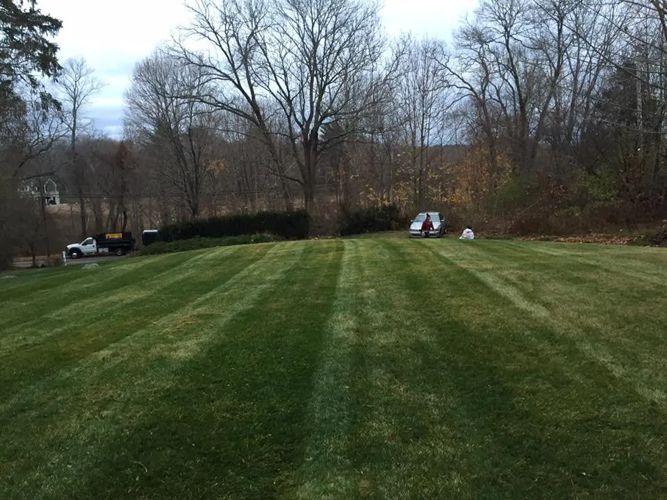Professional yard maintenance near you across Cohasset, MA - Bay View Landscaping