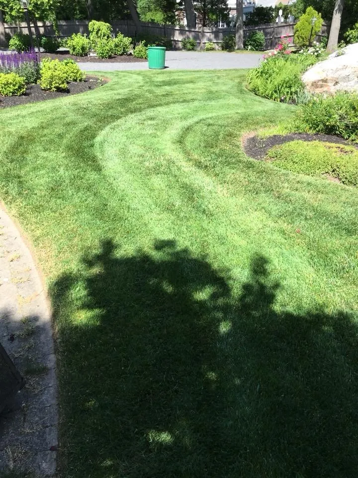 Reliable lawn care service for beautiful yards in Cohasset, MA by Bay View Landscaping