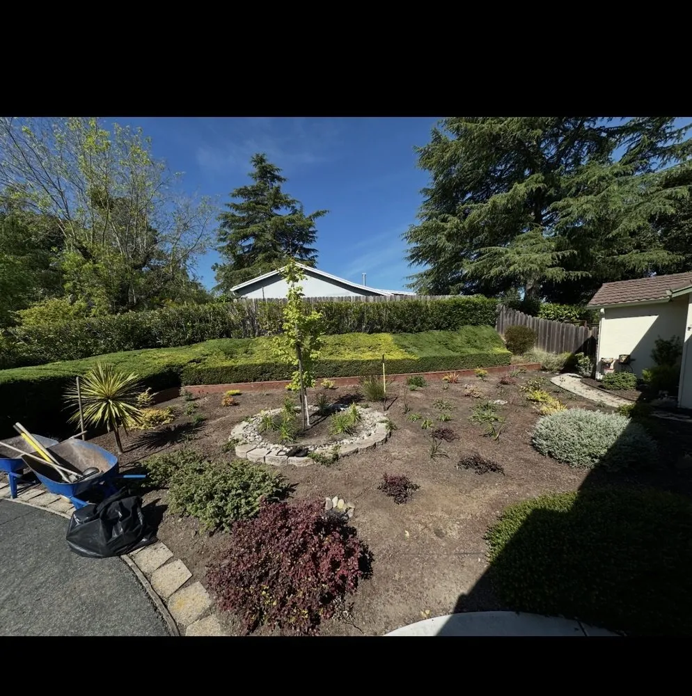 Expert garden landscaping in Richmond, CA - Bay Vista Landscape
