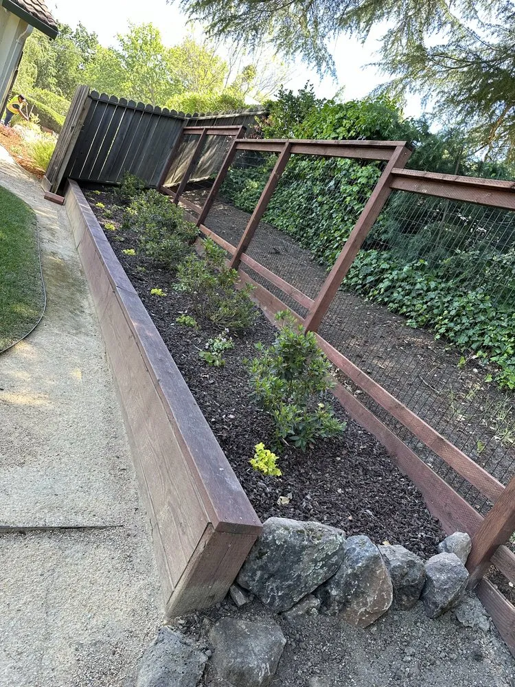 Top-rated yard maintenance in Richmond, CA - Bay Vista Landscape