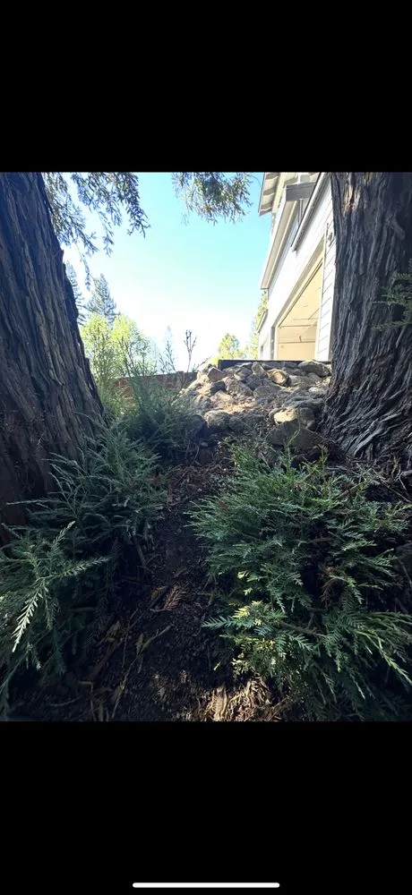 Top-rated landscaping services for outdoor upgrades across Richmond, CA - Bay Vista Landscape