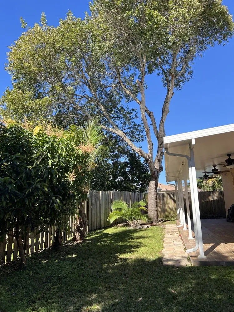 Professional landscape design in Miami, FL - Bayamito & Sons Tree Trimming & Stump Removal