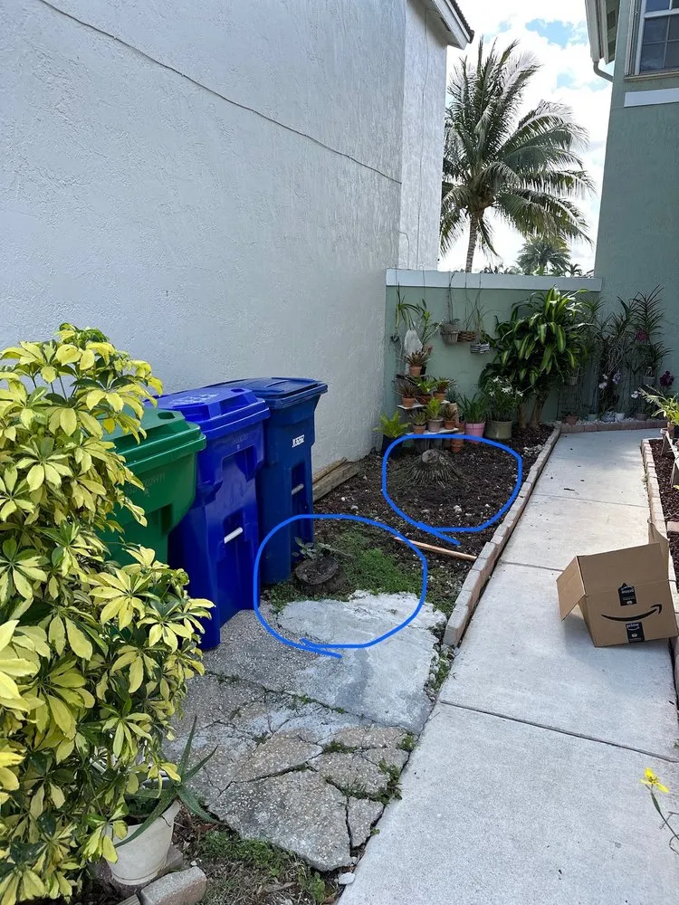 Expert lawn care service in Miami, FL - Bayamito & Sons Tree Trimming & Stump Removal
